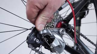 Fit And Set Up A Bike’s Rear Derailleur [upl. by Esinehc]