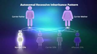 What is Autosomal Recessive Inheritance [upl. by Palocz]