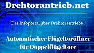 Automatischer Flügeltoröffner für Doppelflügeltore  Tipps und Preisvergleich [upl. by Michelsen]