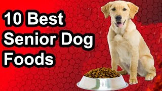 Updated 10 Best Senior Dog Food  The Best Senior Dog Food 2019 [upl. by Husain]