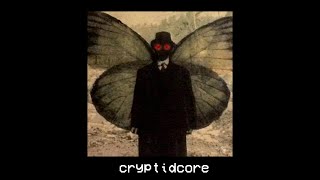 cryptidcore vibe playlist hunting mothman [upl. by Ruthann16]