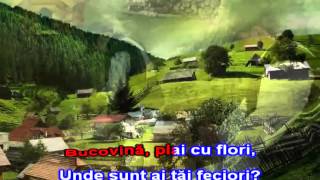 GRIGORE LESE  CANTA CUCUL BATAL VINA Karaoke Romanesti [upl. by Moonier]