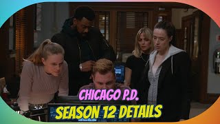 Chicago PD Season 12 Release Date Streaming Details and What to Expect [upl. by Nohshan853]