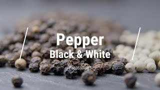 🔵 All About White Pepper amp Black Pepper [upl. by Cottle]