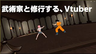 【アクション】高名な武術家と格闘訓練をする猫８００【アニメ】【Vtuber】【VRchat】【3D】【VRM】【メタバース】【ドラゴンボール】【DAIMA】【悟空】dragonball [upl. by Farleigh]