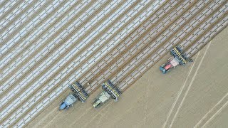 Live Xinjiang cotton growers start spring plowing [upl. by Kirschner]