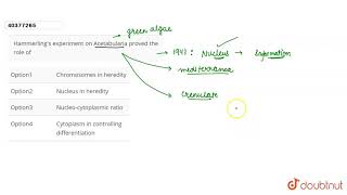 Hammerlings experiment on Acetabularia proved the role of [upl. by Agiaf26]