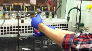 Extraction Procedure for Organic Chemistry Lab [upl. by Zevahc829]