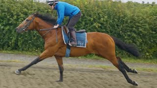 Haatem runs in the G1 Prix Jacques le Marois at Deauville [upl. by Weintrob]