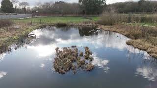 Low over Newbold Rd pond [upl. by Keiko]