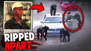 These DEADLY Escaped Chimps Ripped A Man to Pieces and ATE Him [upl. by Vincenz464]