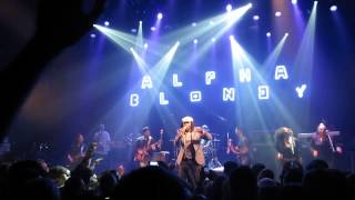 Alpha Blondy  Live Strasbourg Laiterie 24 Les Chiens [upl. by Wyler]