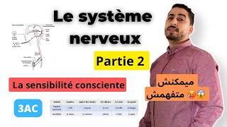 3AC  Le système nerveux  Partie 2  تبسيييييييط خياااااالي  La sensibilité consciente 🥵✅ [upl. by Okubo]