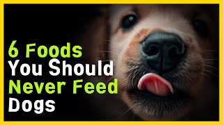 Six Foods You Should Never Feed to Dogs [upl. by Prouty175]