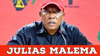 Julias Malema Unlocking Good Governance in Africa The Steve Biko Story [upl. by Dion450]