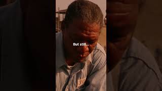 The Shawshank Redemption  Best Moments [upl. by Asert]