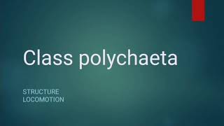 Class Polychaeta  Phylum Annelida  Lecture 1 [upl. by Shoemaker]