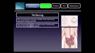 Basiskurs BiochemieChemie Kohlenhydrate Teil 710 [upl. by Canotas]