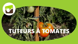 Piquets de tomates en bois avec son cône anti pourrissement  un tuteur tomate ingénieux et durable [upl. by Alikee]