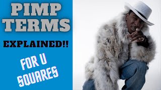 Pimp Terminology Explained For YOU SQUARES  Proper Explanation amp Usage  The Hood Trucker Show [upl. by Stephanie]