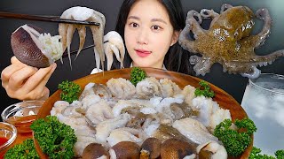 날로 먹는 쭈꾸미🐙주꾸미회 먹방✨  Raw Octopus  ASMR MUKBANG  Eating Show [upl. by Fineman285]