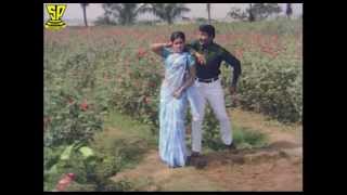 Chakravakam Telugu Movie Songs  Vellipo Vellipo Video Song  Shobhan Babu  Vanisri [upl. by Dlabihcra406]