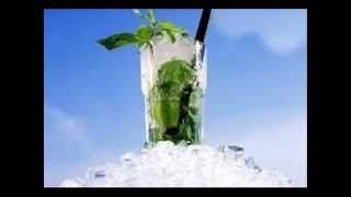 Bacardi  Mojito Song [upl. by Gloriane]