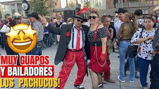 Muy guapos y bailadores 💃❤️🕺Los Pachucos de Chihuahua 👍❤️ [upl. by Una]