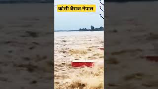 नेपाल से फिर छोड़ा गया पानी 🤔।। flood biharflood2024 ytshorts biharnews badh kosiriver [upl. by Elam]