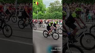 Shorts Highlight Celebrate Belgium  National Day 2024 Military and Civil Parade [upl. by Hammond65]