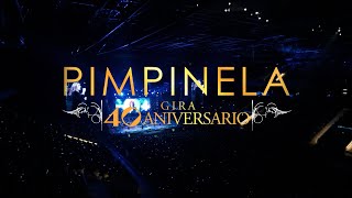 PIMPINELA  GIRA 40TH ANIVERSARIO [upl. by Witte]