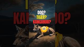 What exactly was the Tasmanian Tiger animals animation shorts 77 [upl. by Introk226]