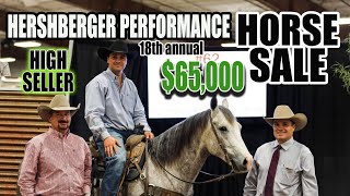 HERSHBERGER PERFORMANCE HORSE SALE 2023 [upl. by Dulce787]