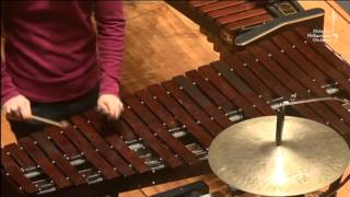 PERCUSSION 101 Xylophone [upl. by Eserehs]