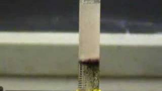 Thermal decomposition of potassium permanganate amp positive test for oxygen [upl. by Karli11]