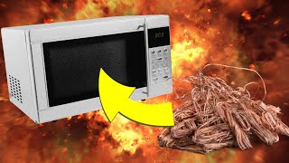 Exploding a Microwave for Copper [upl. by Sender]