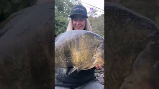 Вот это батон fishing carp carpfishing карп рыбалка2024 carps рек fish automobile carpfi [upl. by Dorothy]