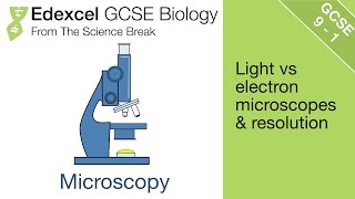 Edexcel GCSE Science and Biology  Introduction to Microscopes [upl. by Ahsiken]