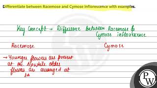 Differentiate between Racemose and Cymose inflorescence with examples [upl. by Bacchus591]