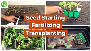 Seed Starting Fertilizer For Seedlings Up potting Transplanting Plants COMPLETE GUIDE [upl. by Domella]