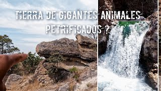 Tierra DE GIGANTES Animales petrificados un lugar lleno de misterio aventura fossil prehistoric [upl. by Nyrrad]