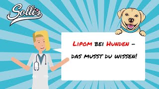 Lipom beim Hund  Ursachen amp Behandlung [upl. by Nicolis]