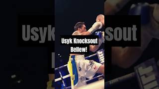 Usyk vs Bellew KNOCKOUT Full Fight Highlights fighthighlights usyk tonybellew knockout [upl. by Einwat]