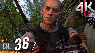 The Witcher 3 Wild Hunt 4K60fps 100 Death March Part 36  Where the Cat and Wolf Play [upl. by Zevahc]