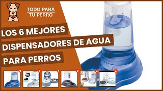 Los 6 mejores dispensadores de agua para perros [upl. by Branch486]