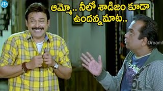 Brahmis Famous Dialogue  Nenu Commongane Chusanu Nuvve Kangaru Paddav  Hello Brother Scenes [upl. by Jansson945]