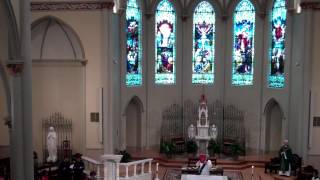 Gospel Acclamation for the 17th Sunday in Ordinary Time [upl. by Essirahs790]