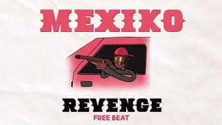 FREE A REAL MEXIKODRO TYPE BEAT quotREVENGEquot [upl. by Ninos485]