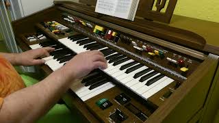 Der Harung und die Flunder  In einen Harung jung und schlank  played on Yamaha Electone C55N [upl. by Stearns]