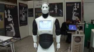 ICRA Robots 2013 [upl. by Quintina]